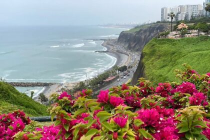 leona miraflores lima peru