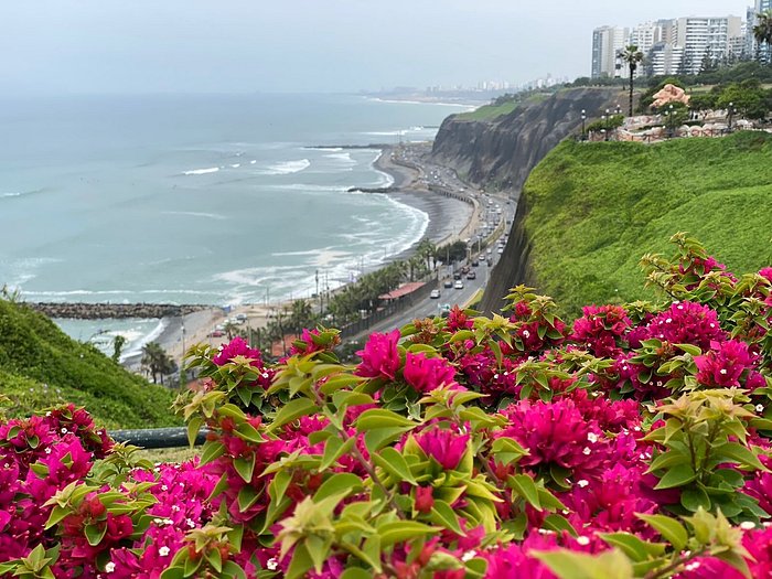 leona miraflores lima peru