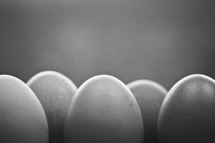 egg photography ideas