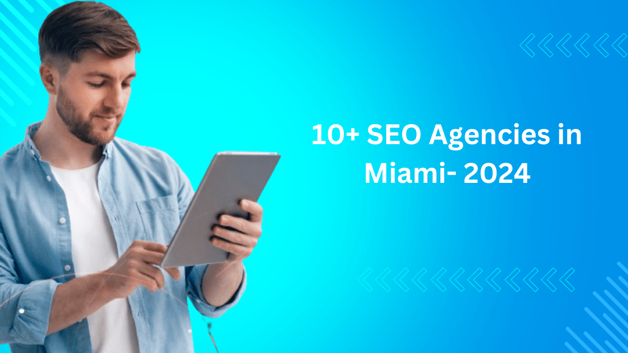 egochi miami seo agency